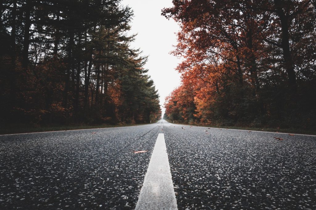 Road Image with Fall leaf colors